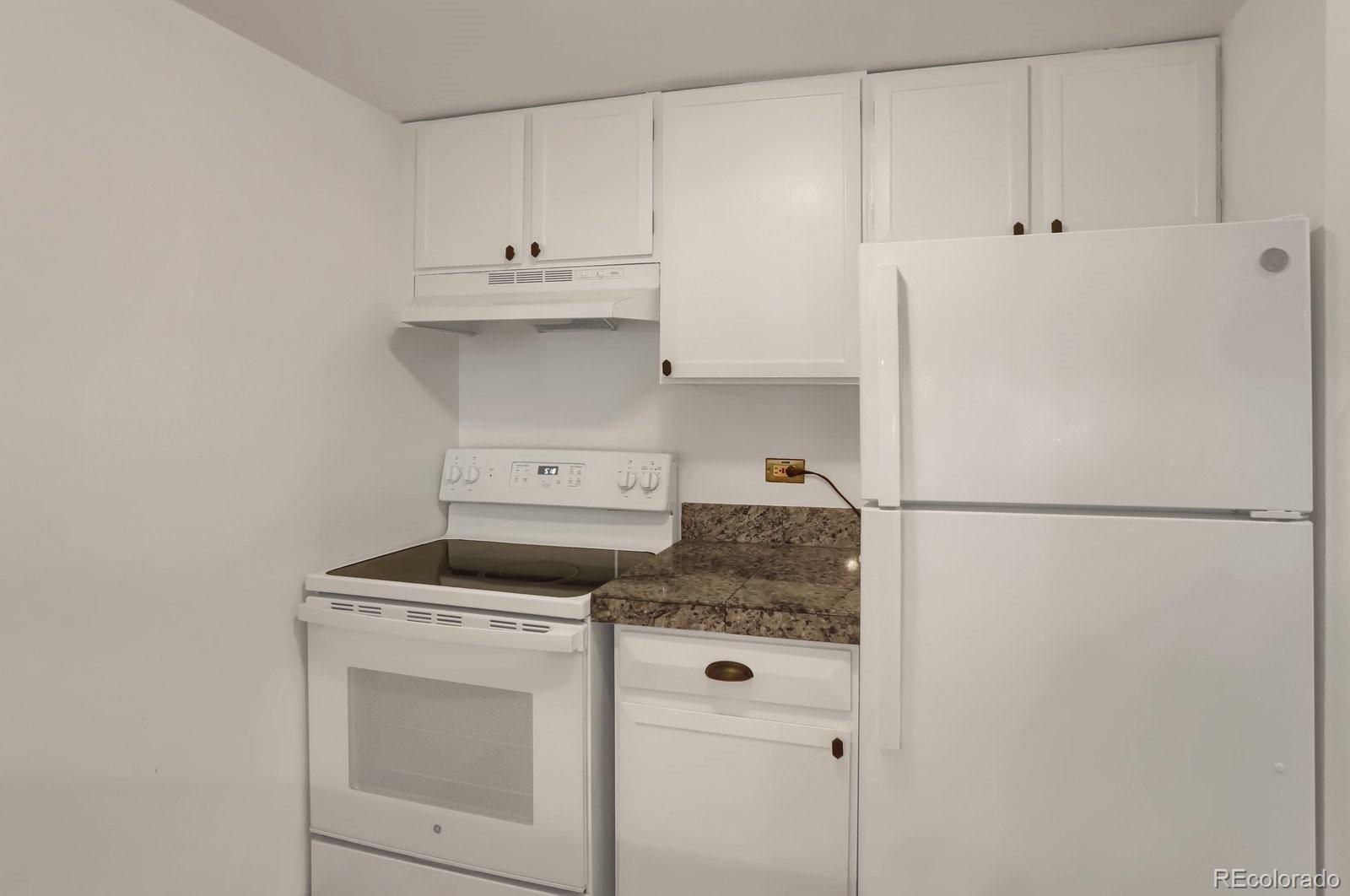 MLS Image #5 for 1265  elizabeth street,denver, Colorado