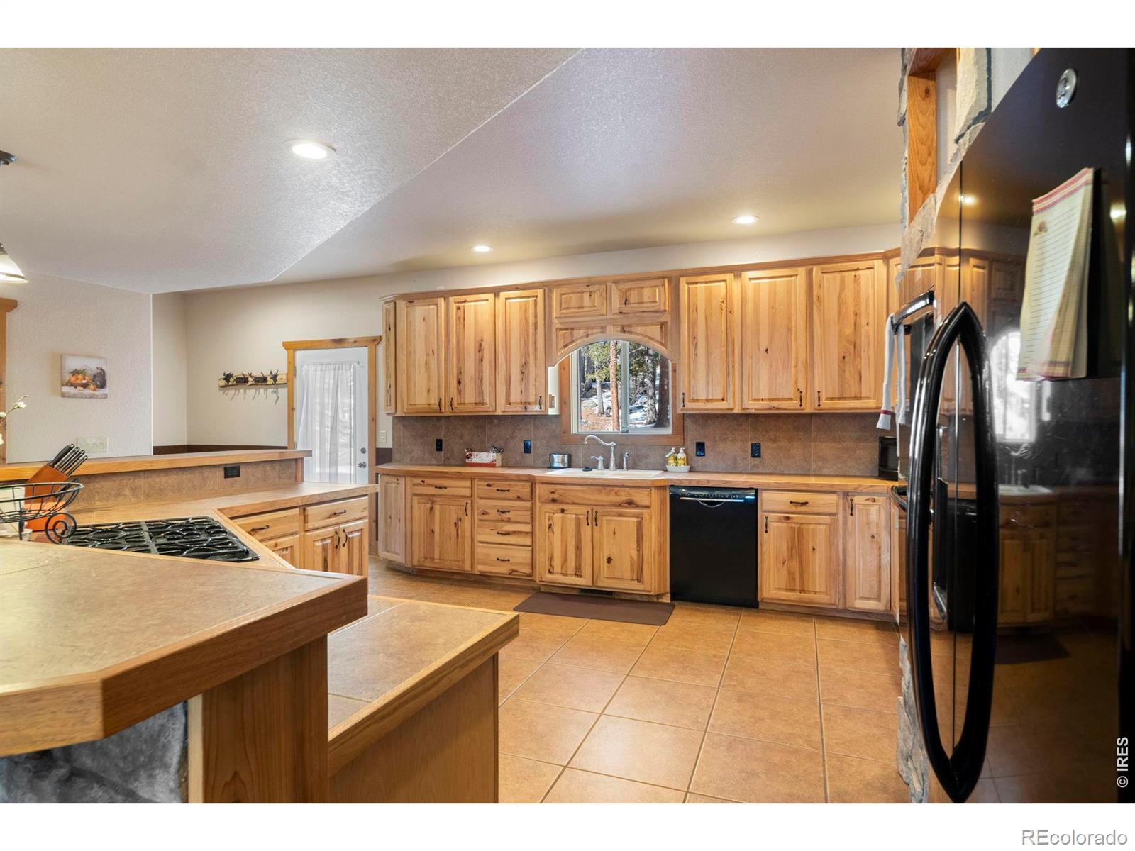 MLS Image #12 for 412  evergreen road,black hawk, Colorado