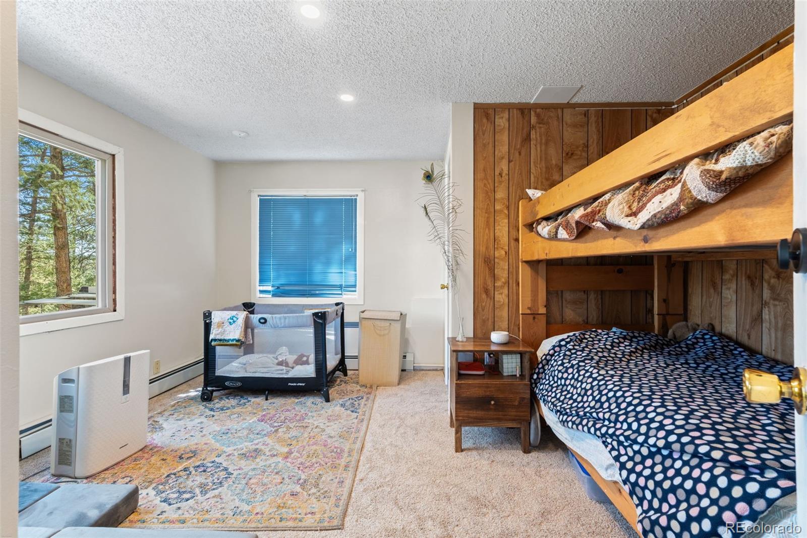 MLS Image #35 for 20  long ridge drive,bailey, Colorado