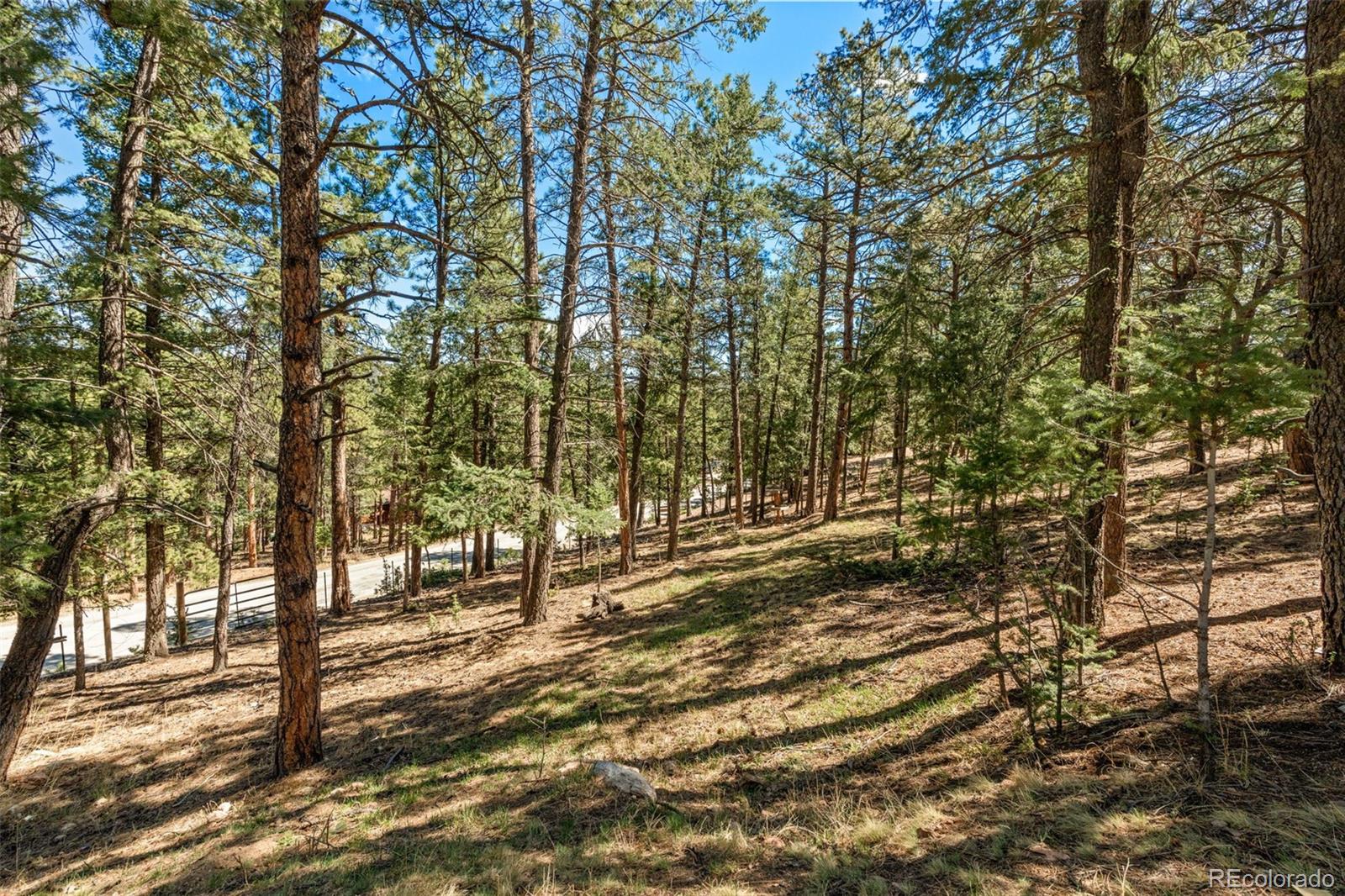 MLS Image #40 for 20  long ridge drive,bailey, Colorado