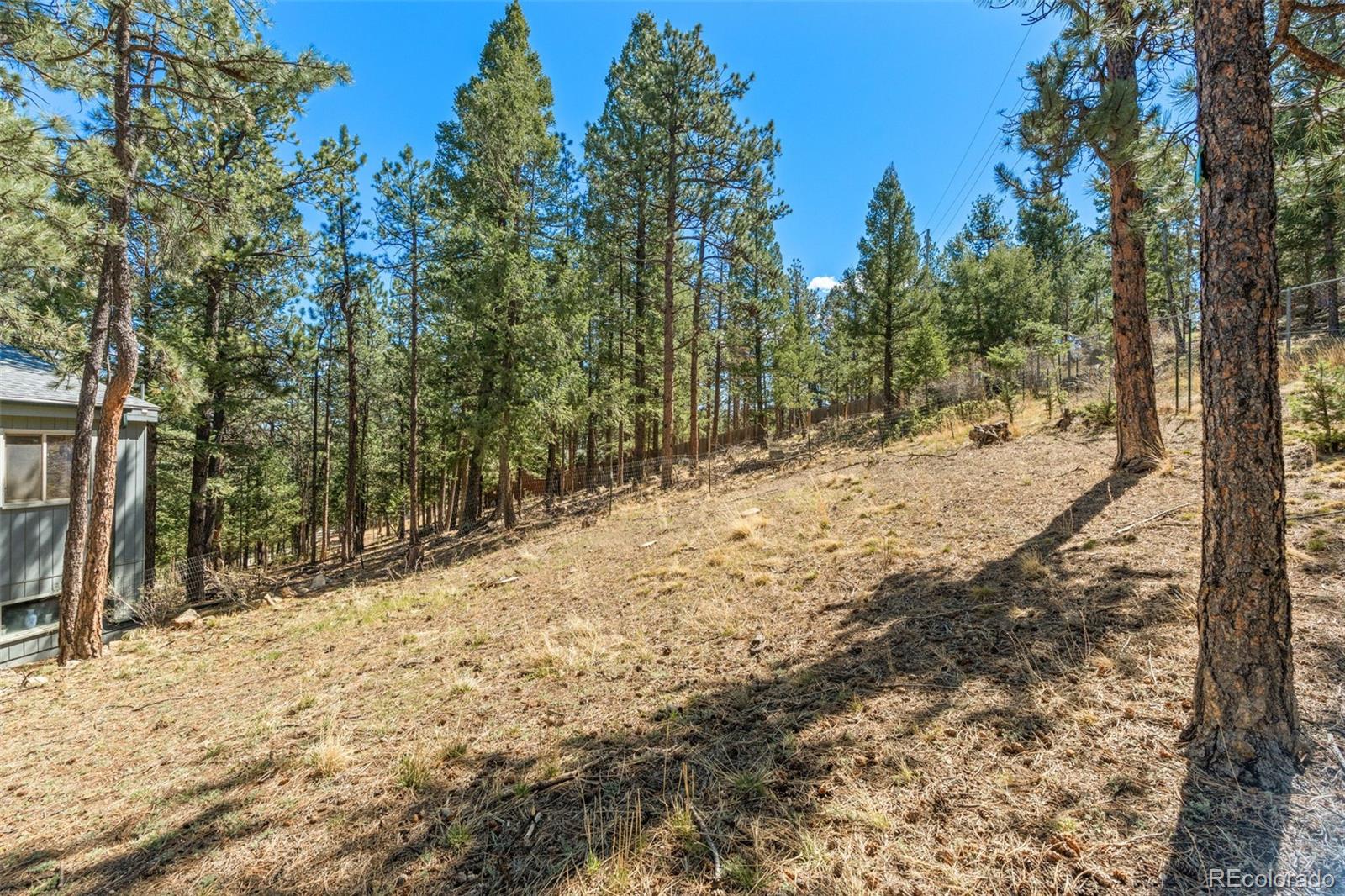 MLS Image #41 for 20  long ridge drive,bailey, Colorado