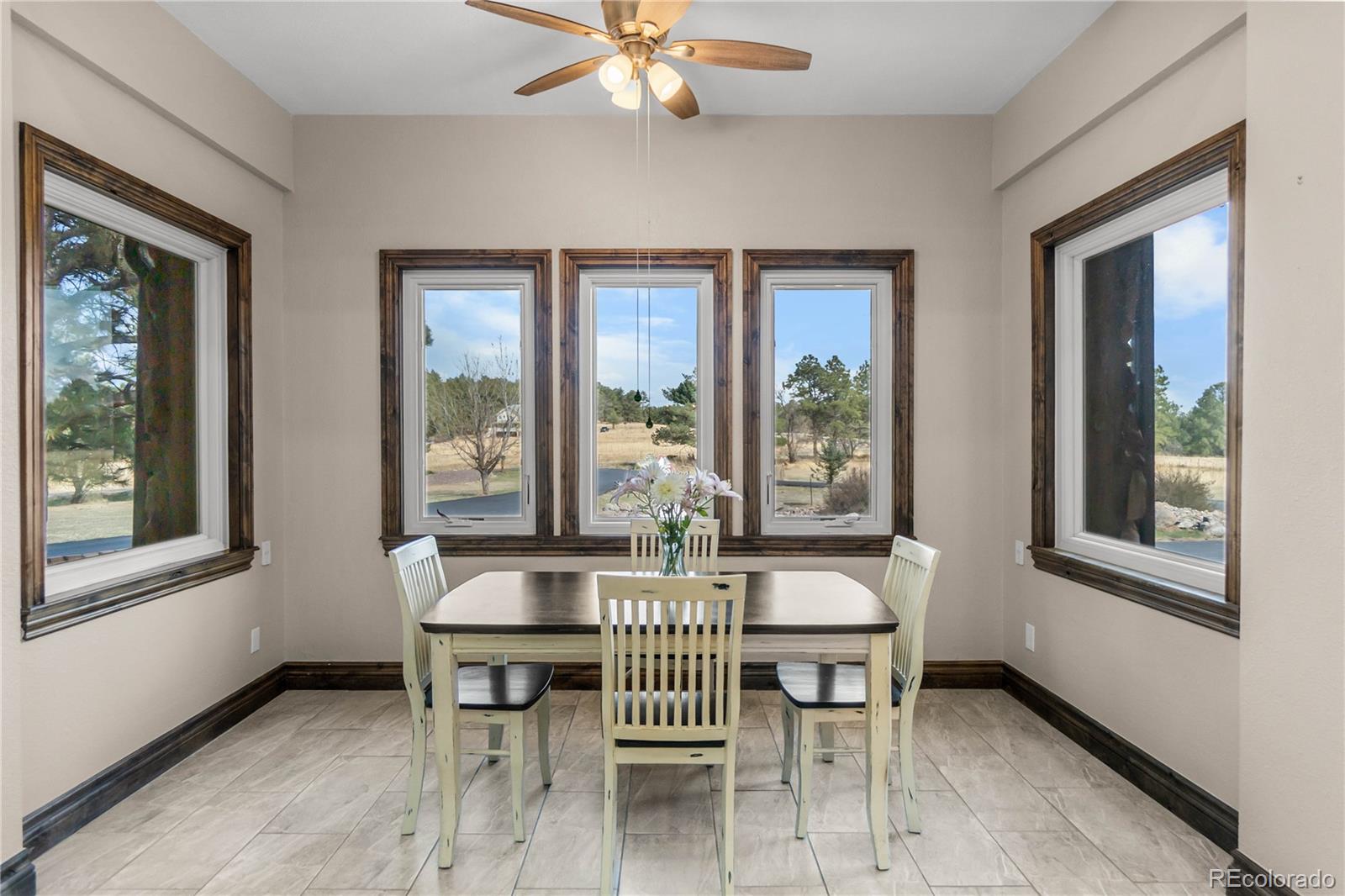 MLS Image #15 for 11066  tomichi drive,franktown, Colorado