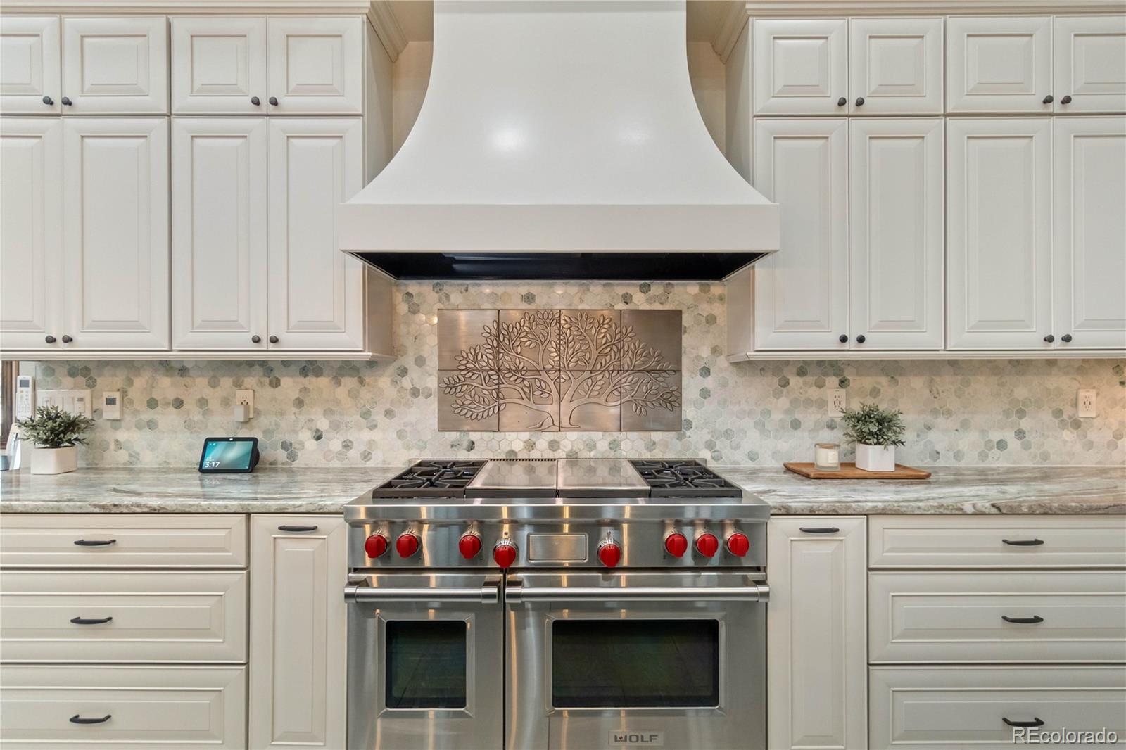 MLS Image #16 for 11066  tomichi drive,franktown, Colorado