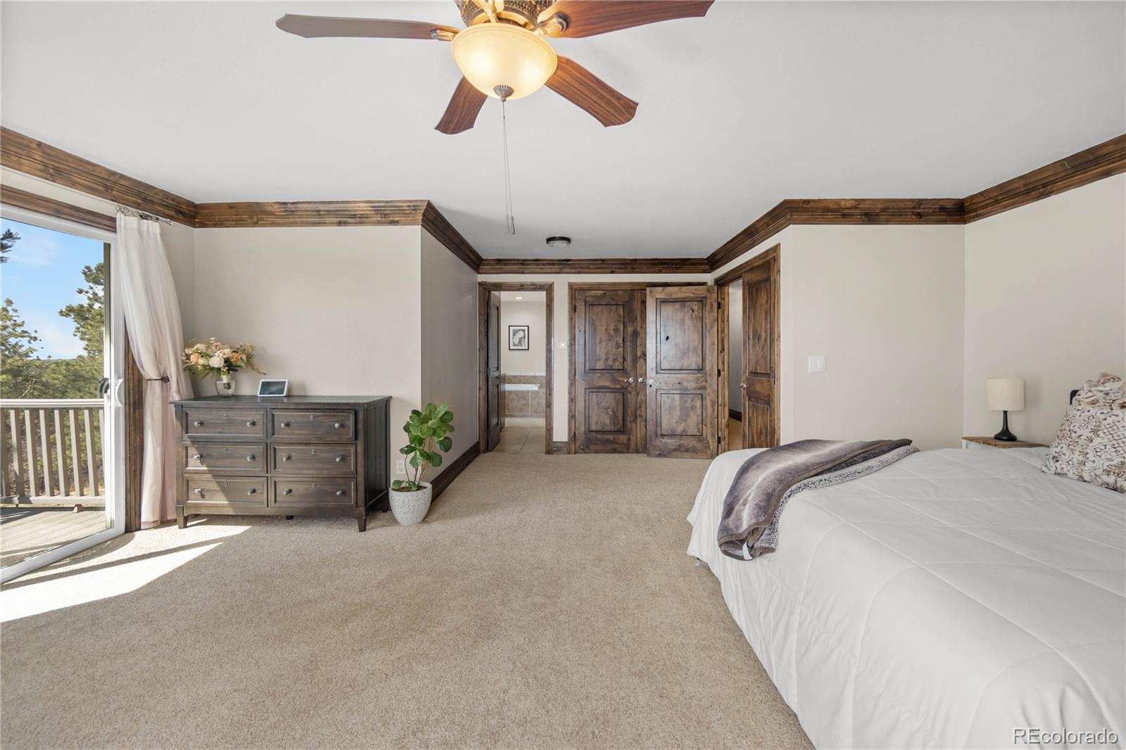 MLS Image #20 for 11066  tomichi drive,franktown, Colorado