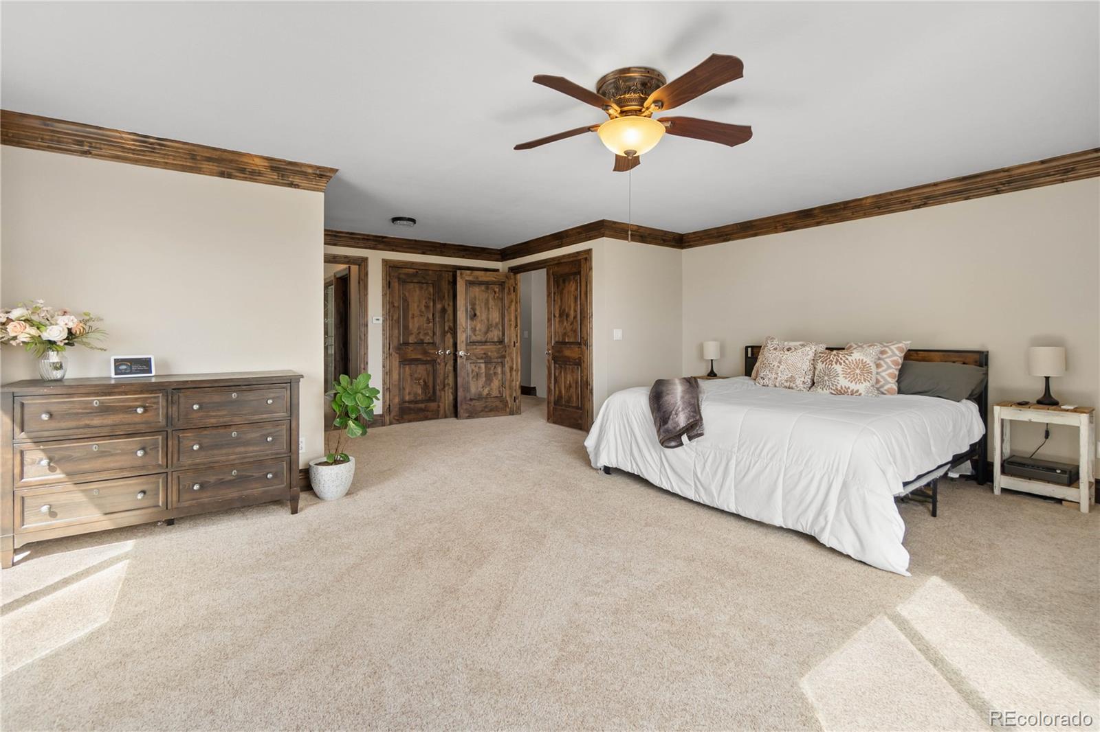 MLS Image #21 for 11066  tomichi drive,franktown, Colorado
