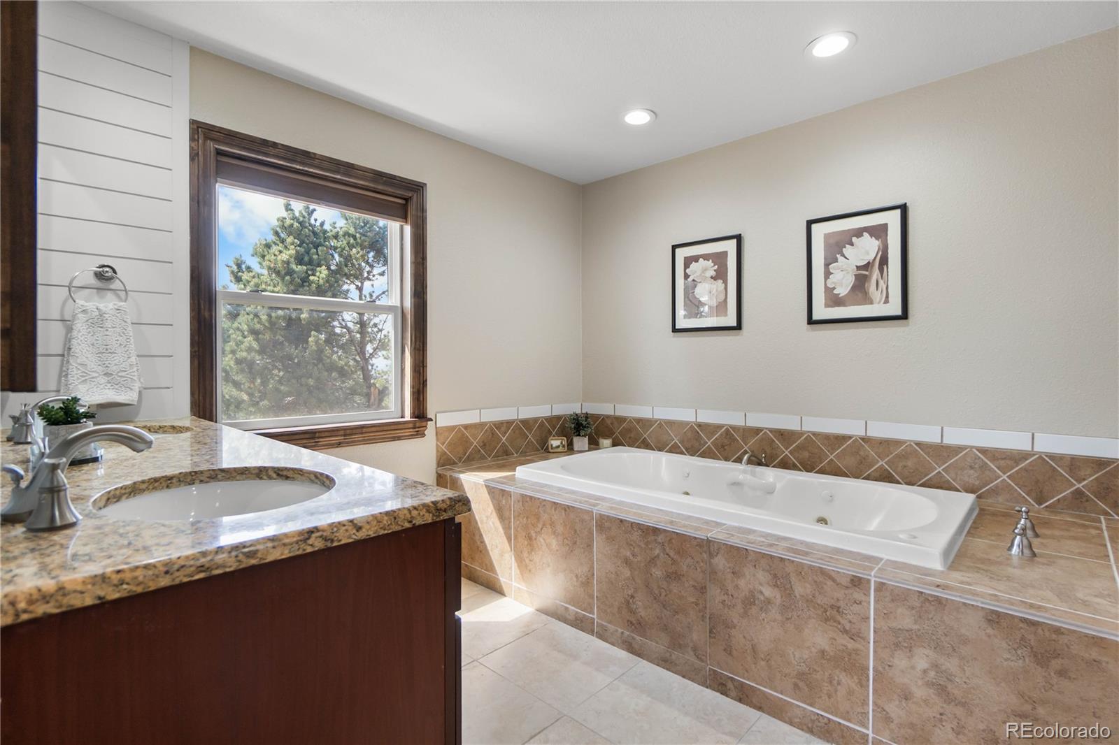 MLS Image #24 for 11066  tomichi drive,franktown, Colorado