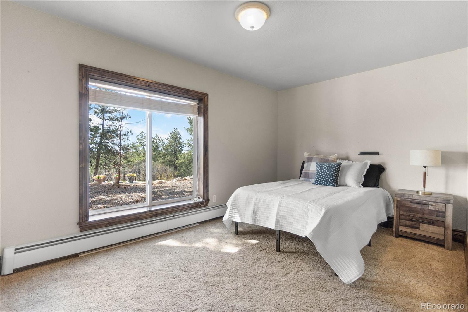 MLS Image #40 for 11066  tomichi drive,franktown, Colorado