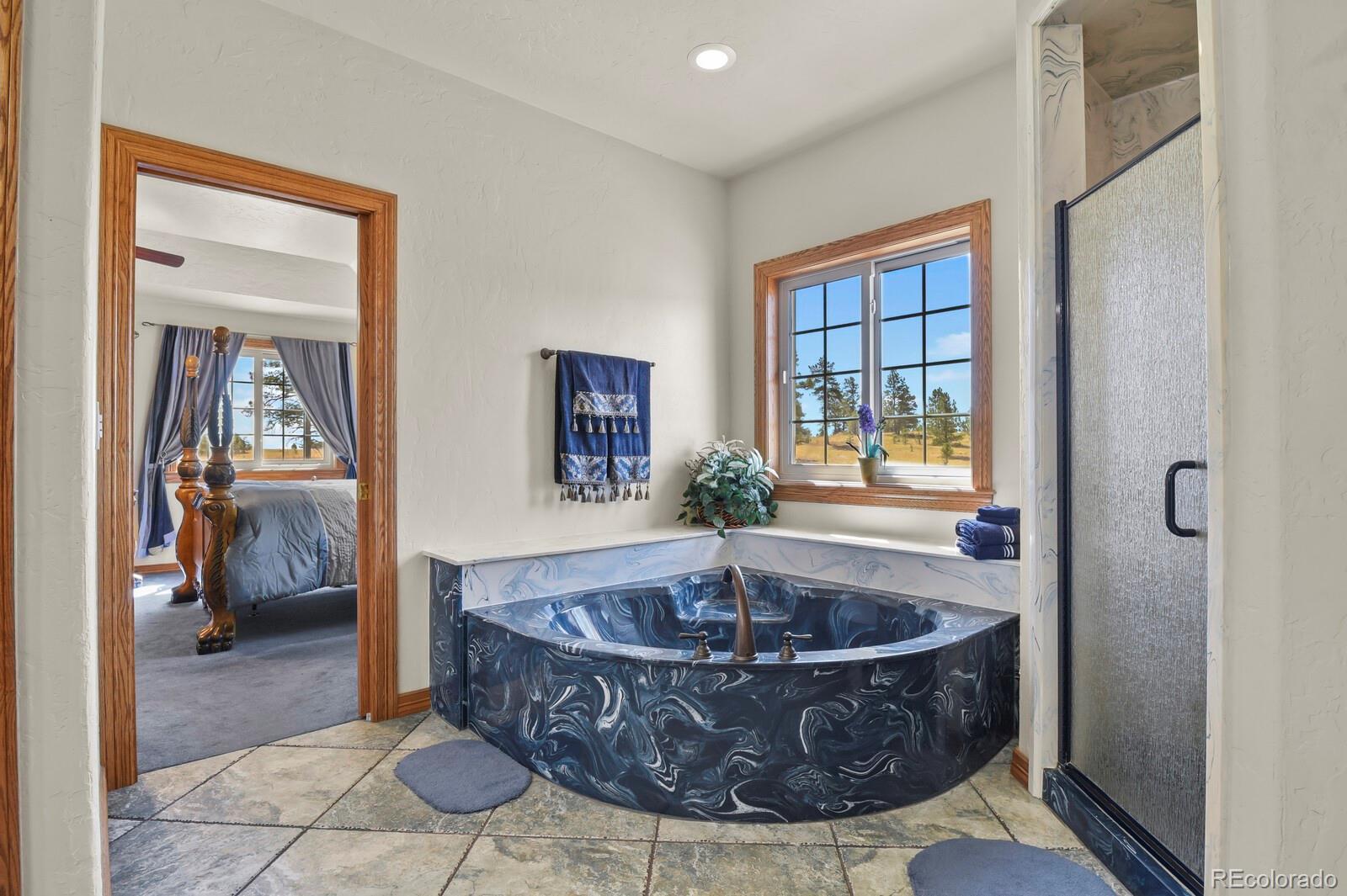 MLS Image #27 for 34264  wolf creek trail,kiowa, Colorado