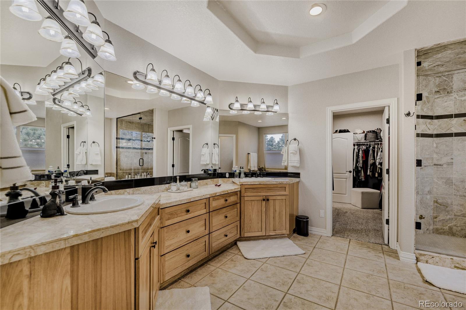 MLS Image #20 for 5213  pinyon jay road,parker, Colorado