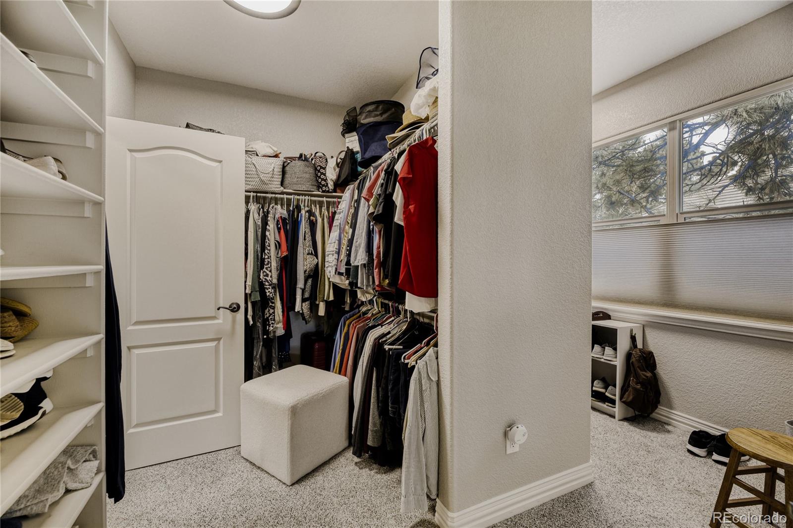 MLS Image #23 for 5213  pinyon jay road,parker, Colorado