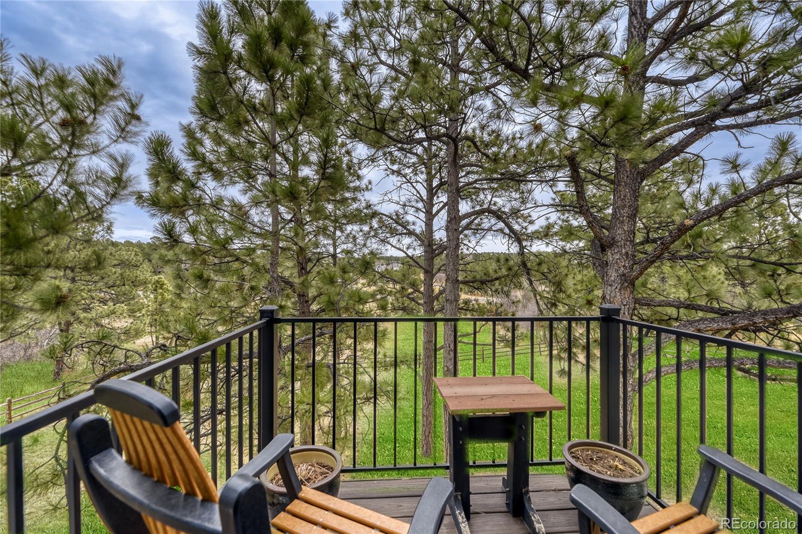 MLS Image #30 for 5213  pinyon jay road,parker, Colorado