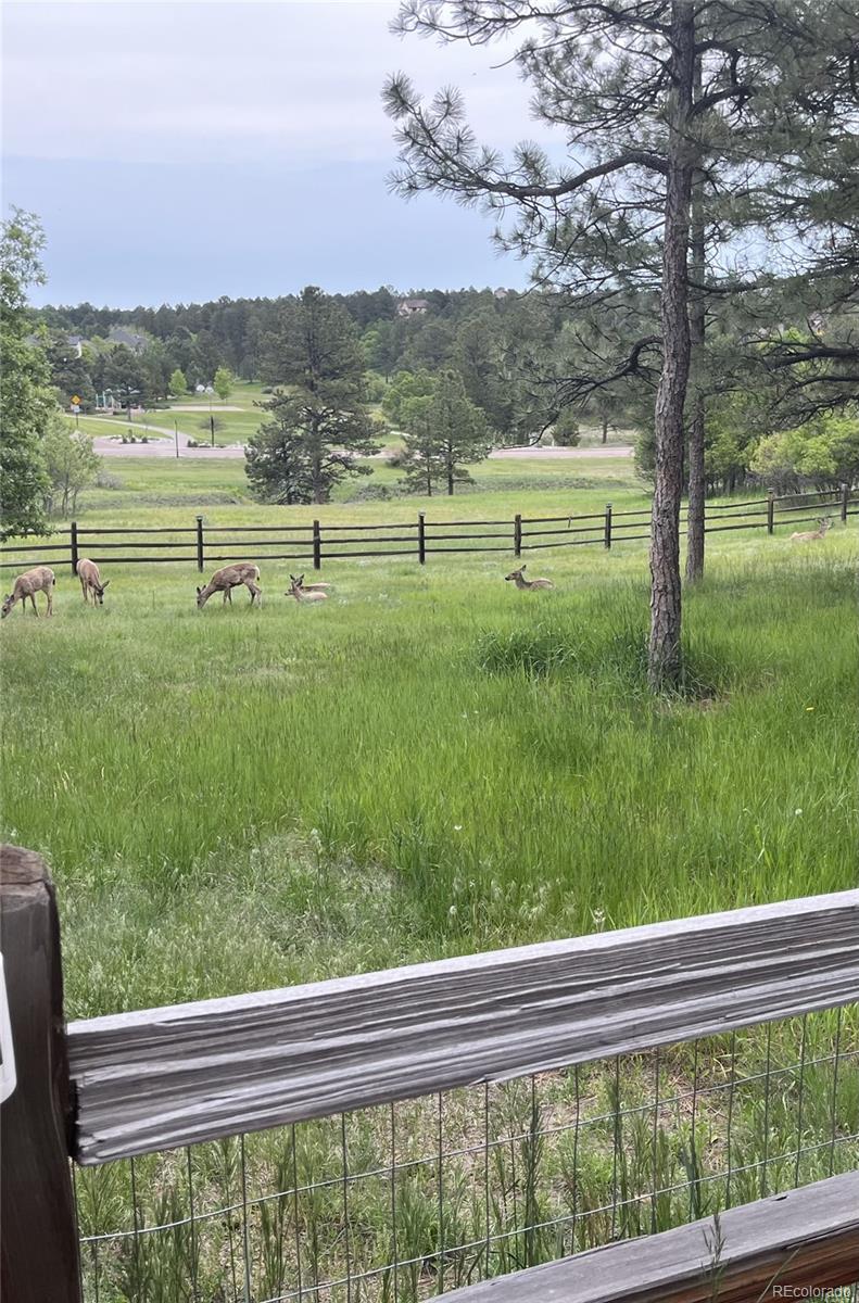 MLS Image #35 for 5213  pinyon jay road,parker, Colorado