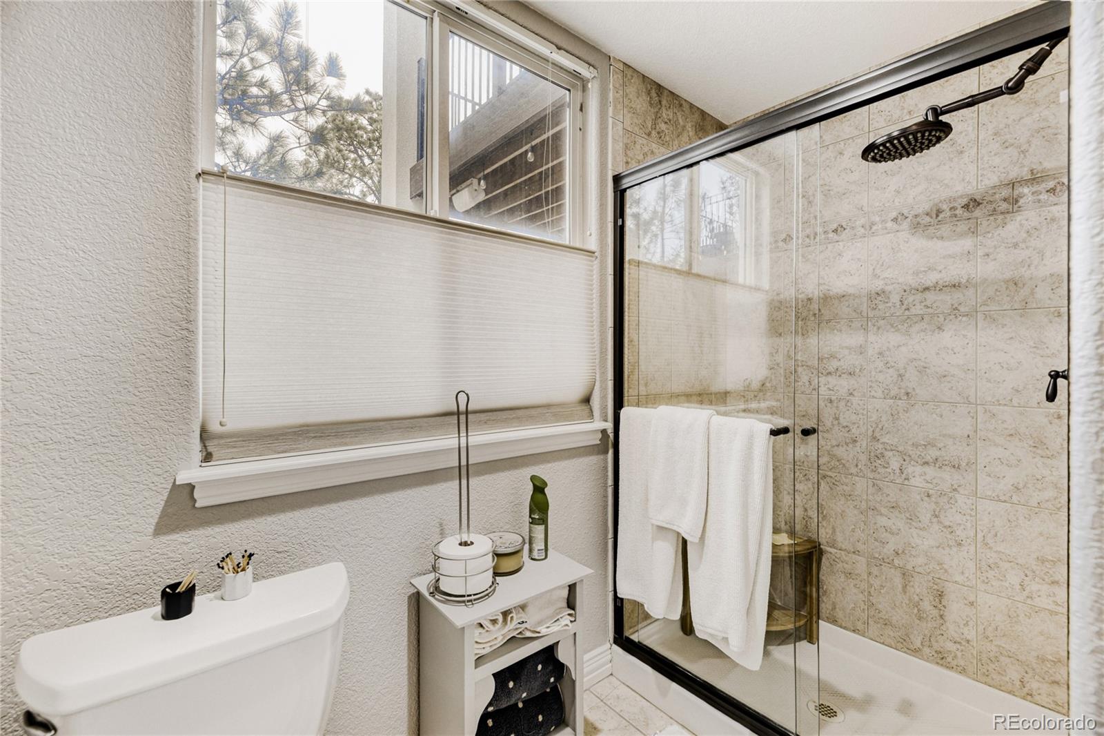 MLS Image #41 for 5213  pinyon jay road,parker, Colorado