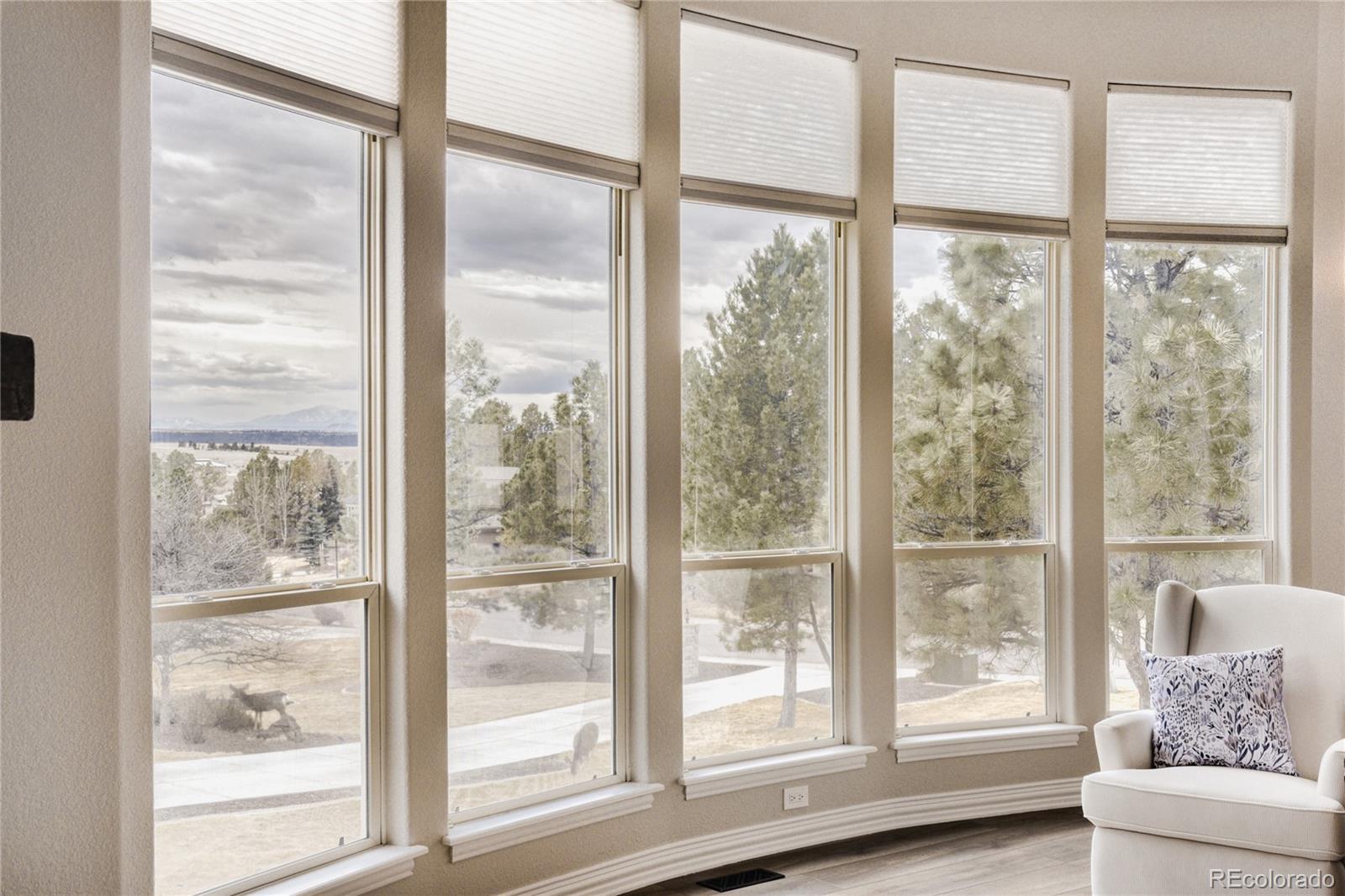 MLS Image #9 for 5213  pinyon jay road,parker, Colorado