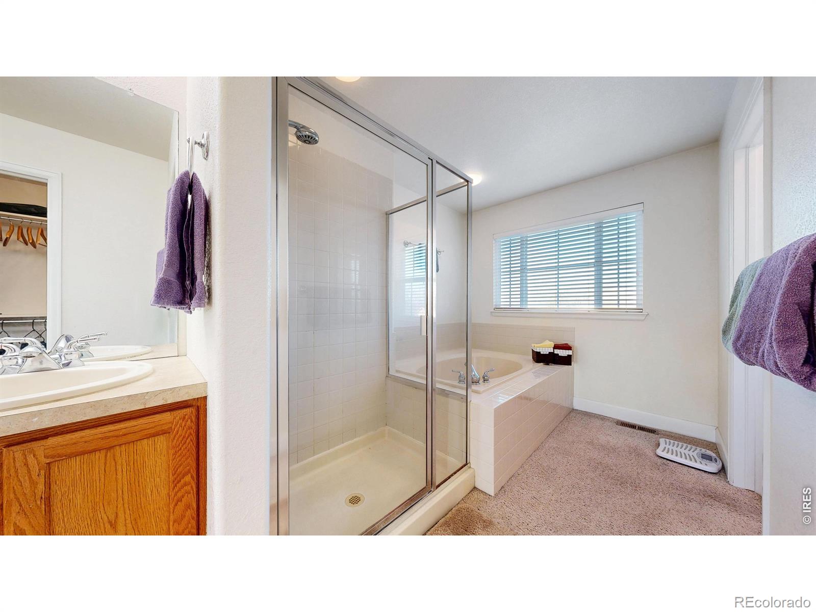 MLS Image #14 for 11759  ashton road,longmont, Colorado