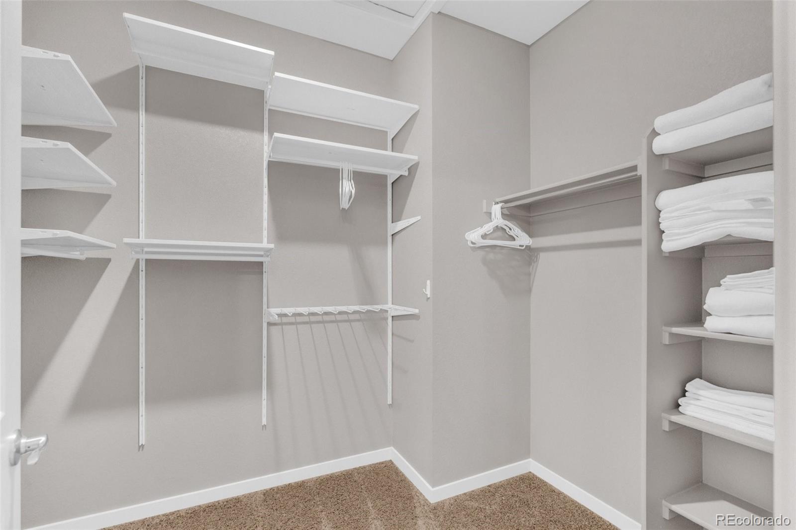 MLS Image #15 for 17344  trefoil lane,parker, Colorado