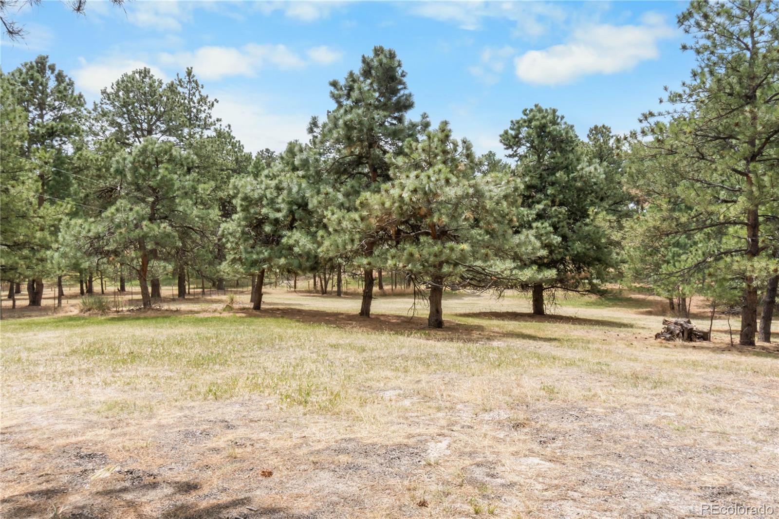 MLS Image #38 for 5336  county road 142 ,elizabeth, Colorado