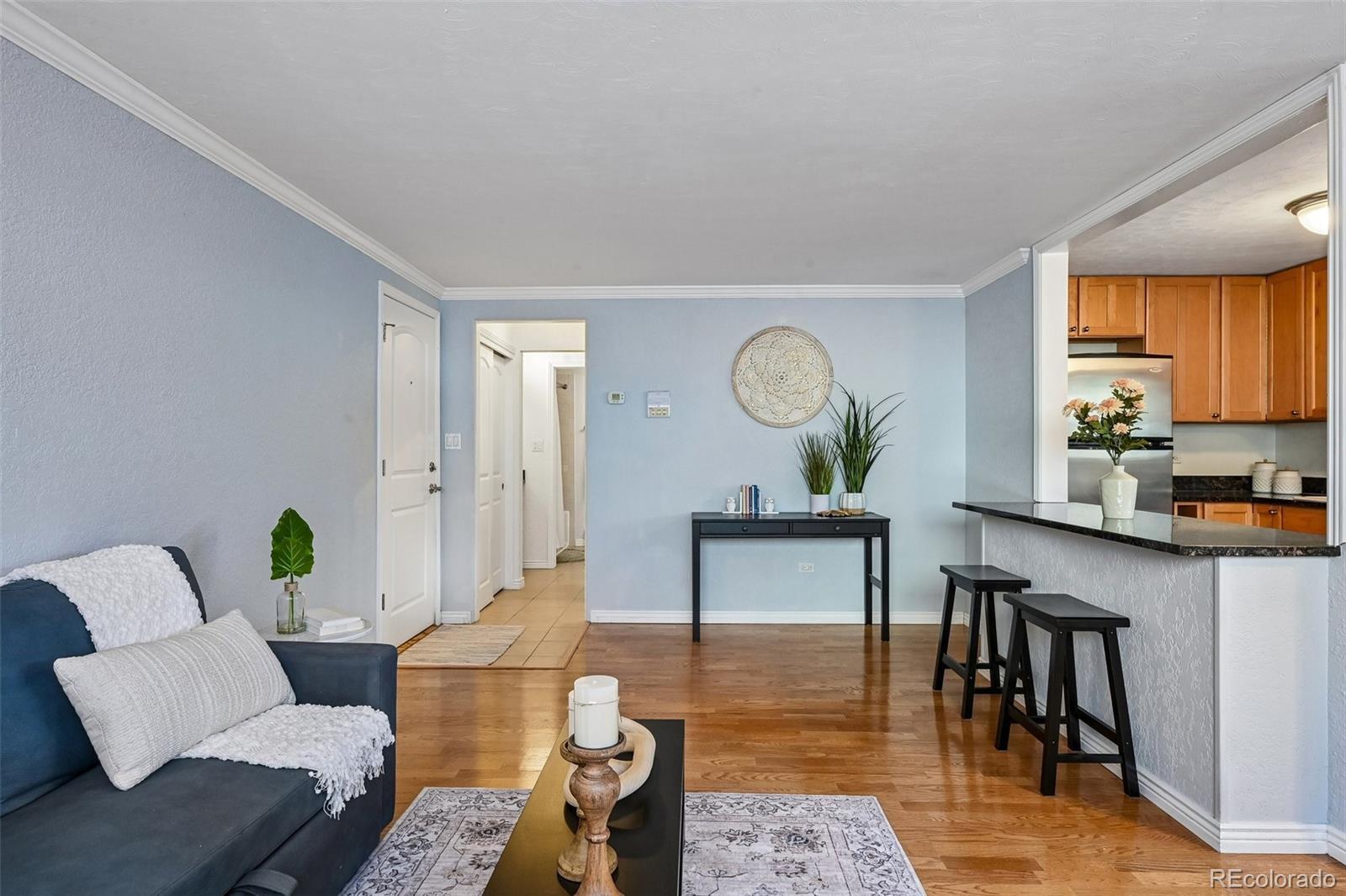 MLS Image #6 for 1151 n marion street,denver, Colorado
