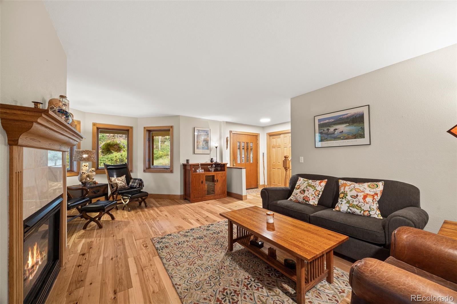 MLS Image #10 for 156  shady hollow ,nederland, Colorado