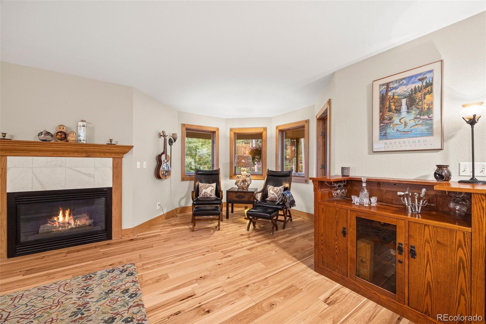 MLS Image #11 for 156  shady hollow ,nederland, Colorado