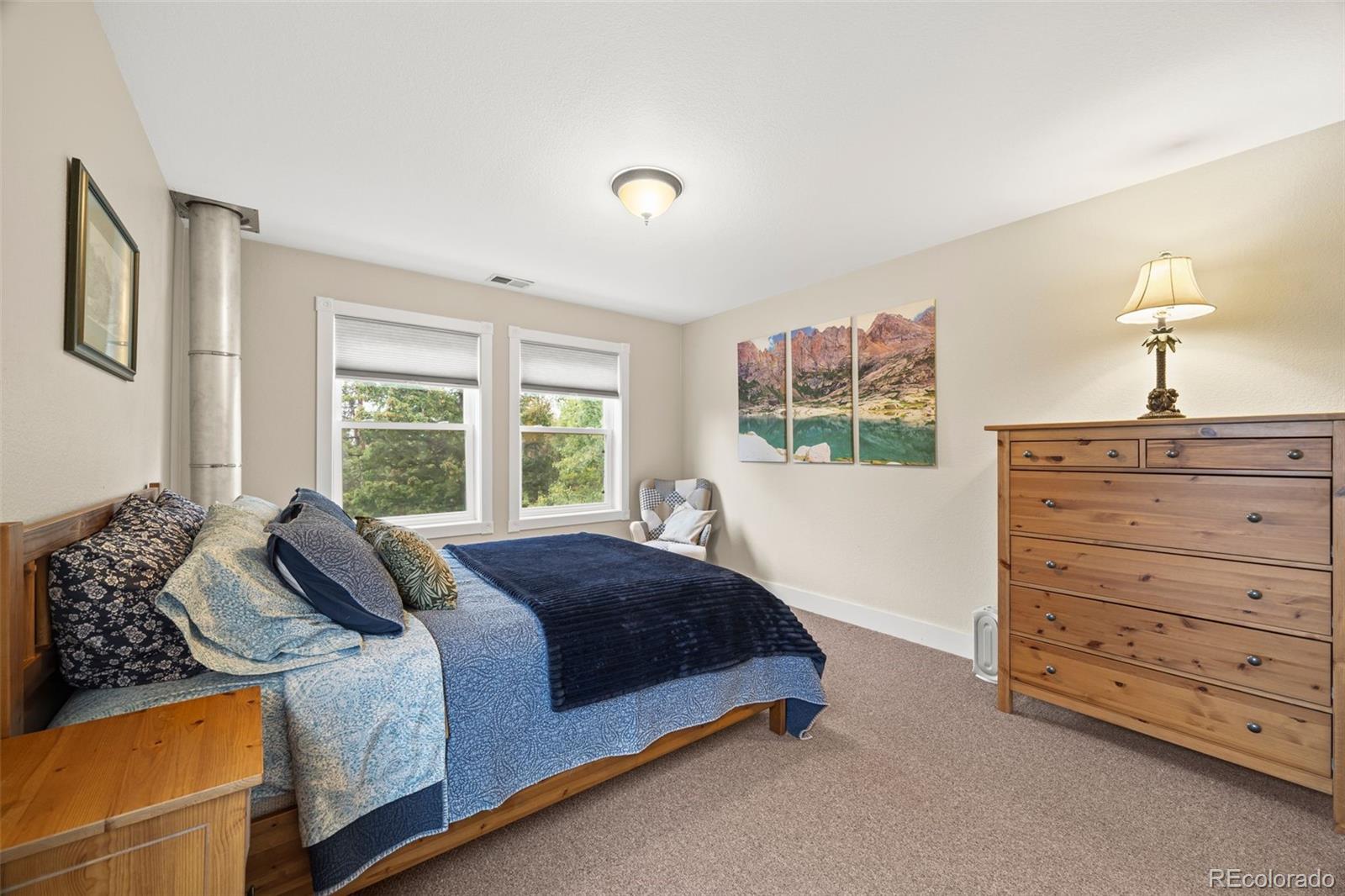 MLS Image #19 for 156  shady hollow ,nederland, Colorado