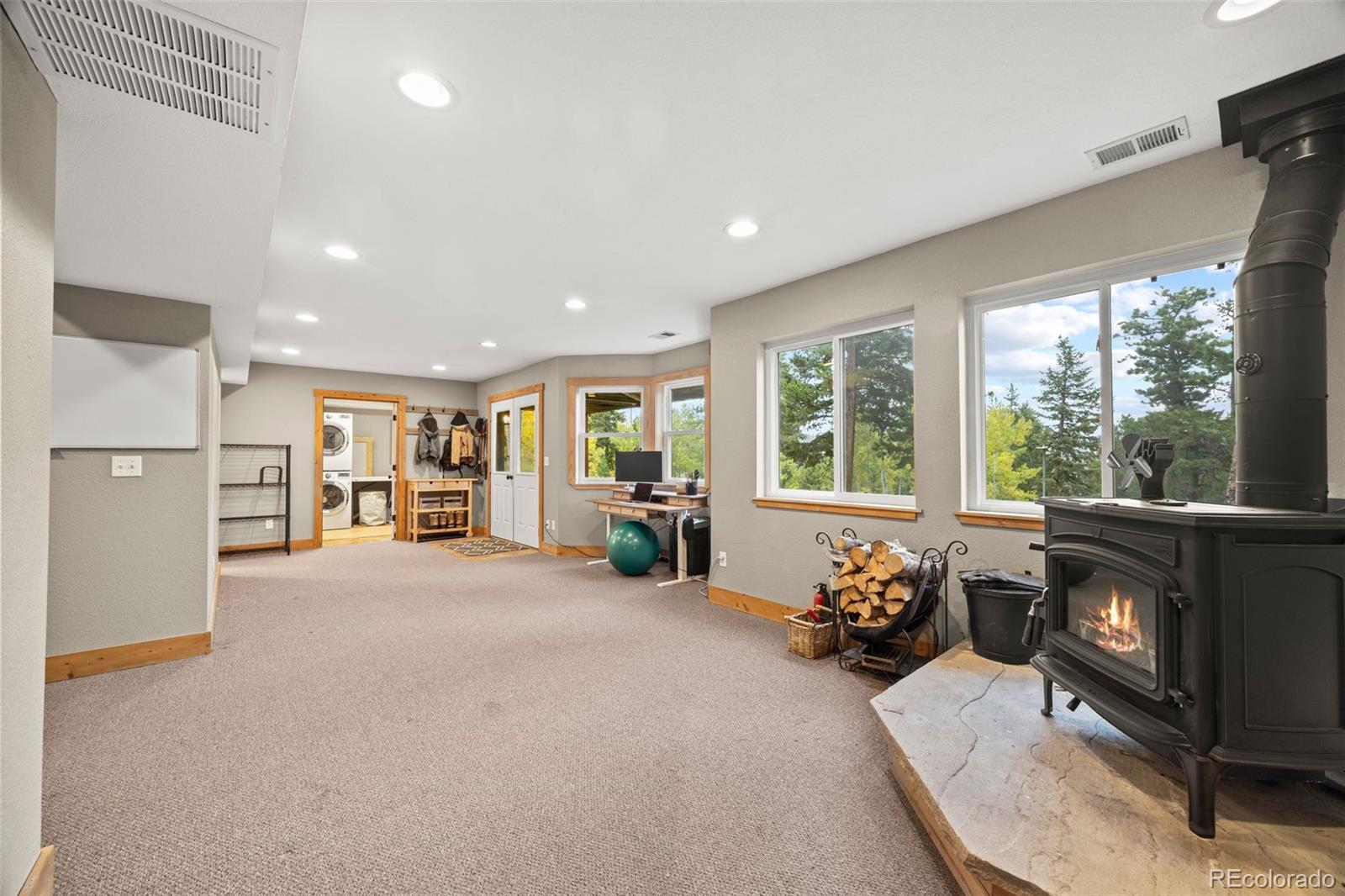 MLS Image #20 for 156  shady hollow ,nederland, Colorado