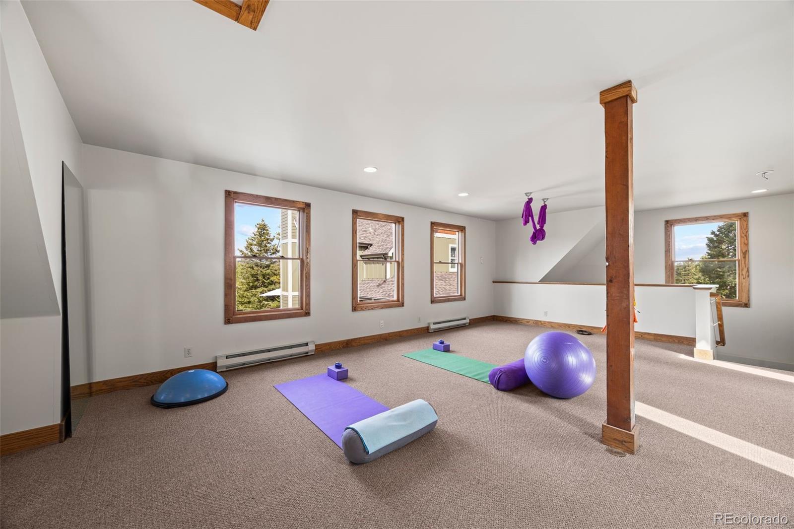 MLS Image #25 for 156  shady hollow ,nederland, Colorado