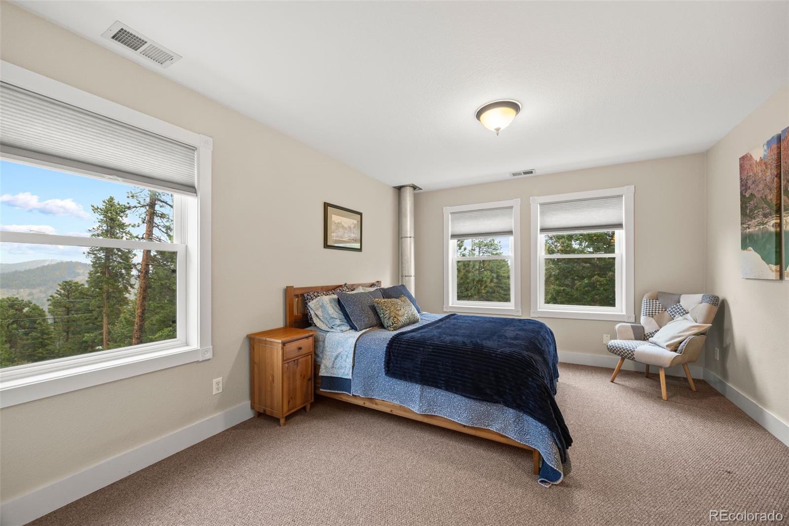 MLS Image #36 for 156  shady hollow ,nederland, Colorado