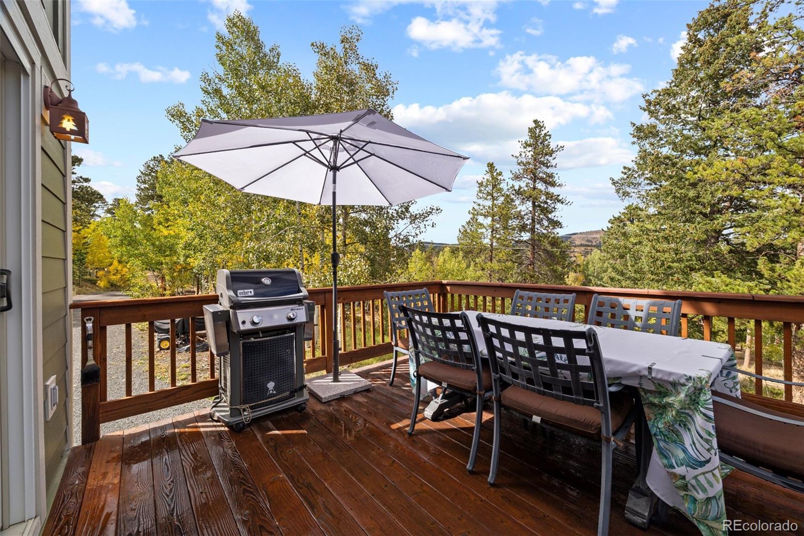 MLS Image #4 for 156  shady hollow ,nederland, Colorado
