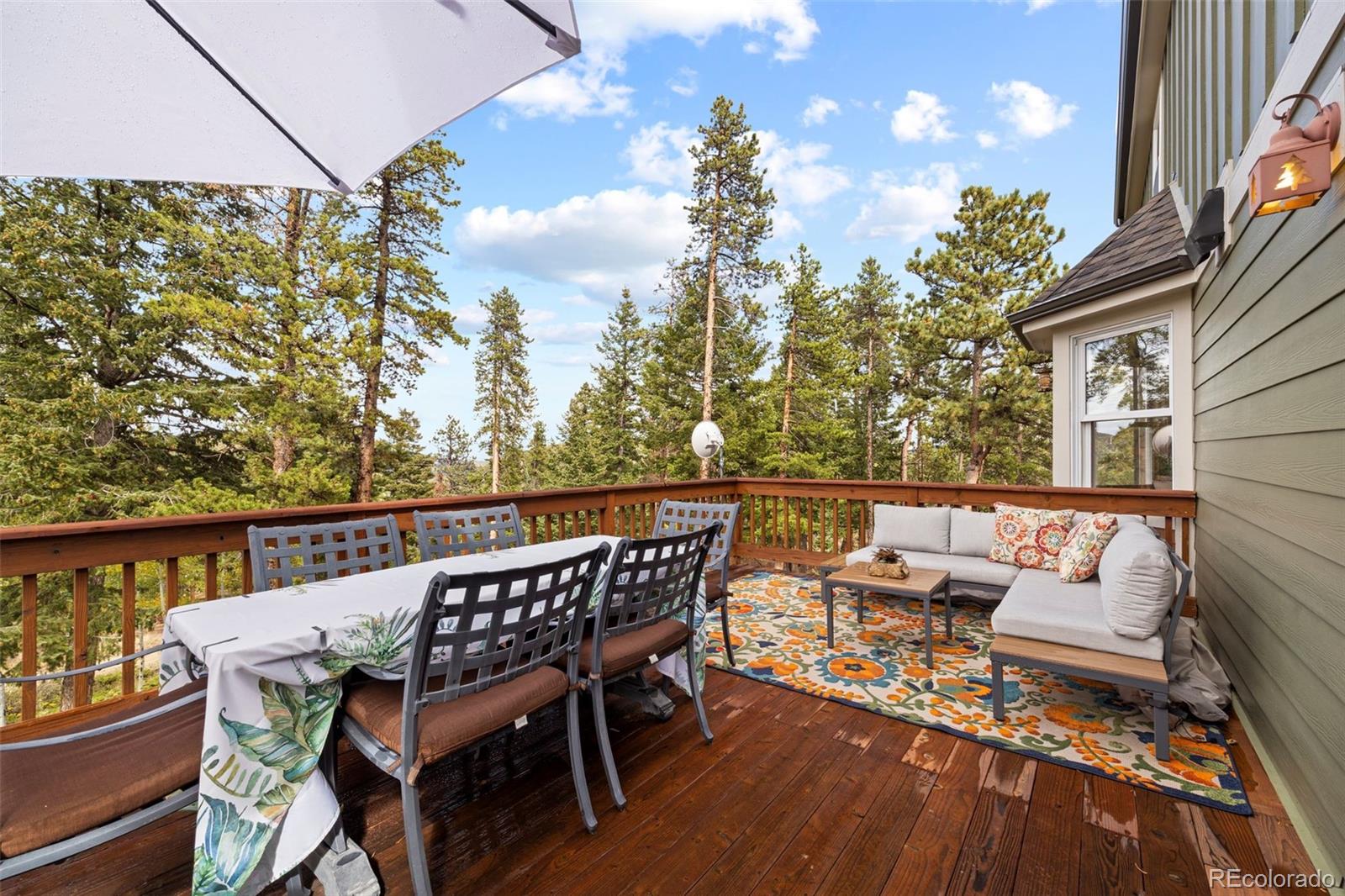 MLS Image #5 for 156  shady hollow ,nederland, Colorado