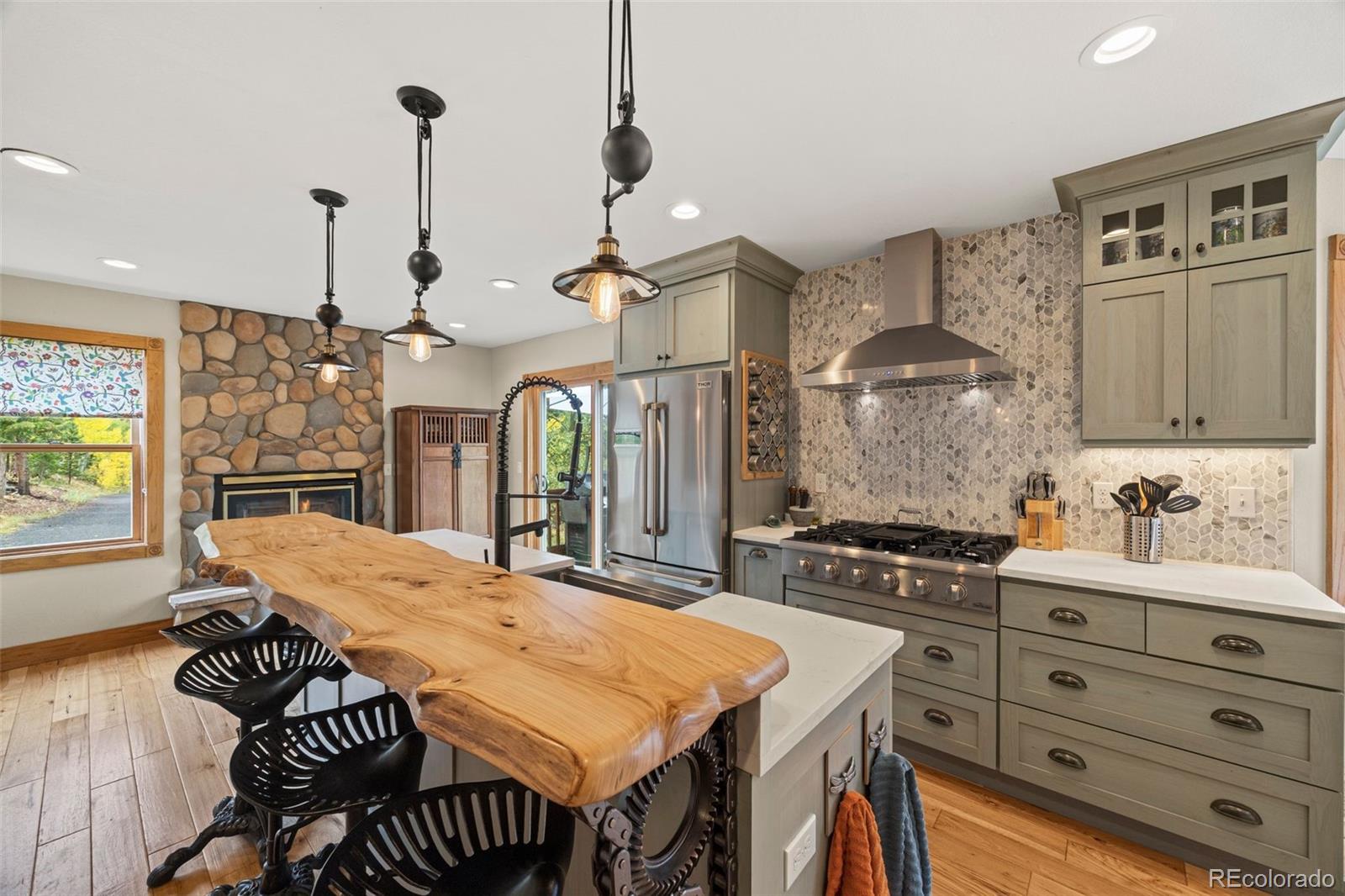 MLS Image #6 for 156  shady hollow ,nederland, Colorado
