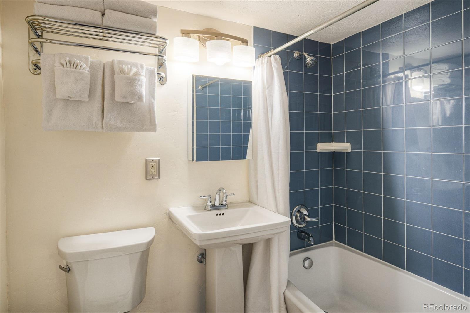 MLS Image #12 for 214 n main street,breckenridge, Colorado