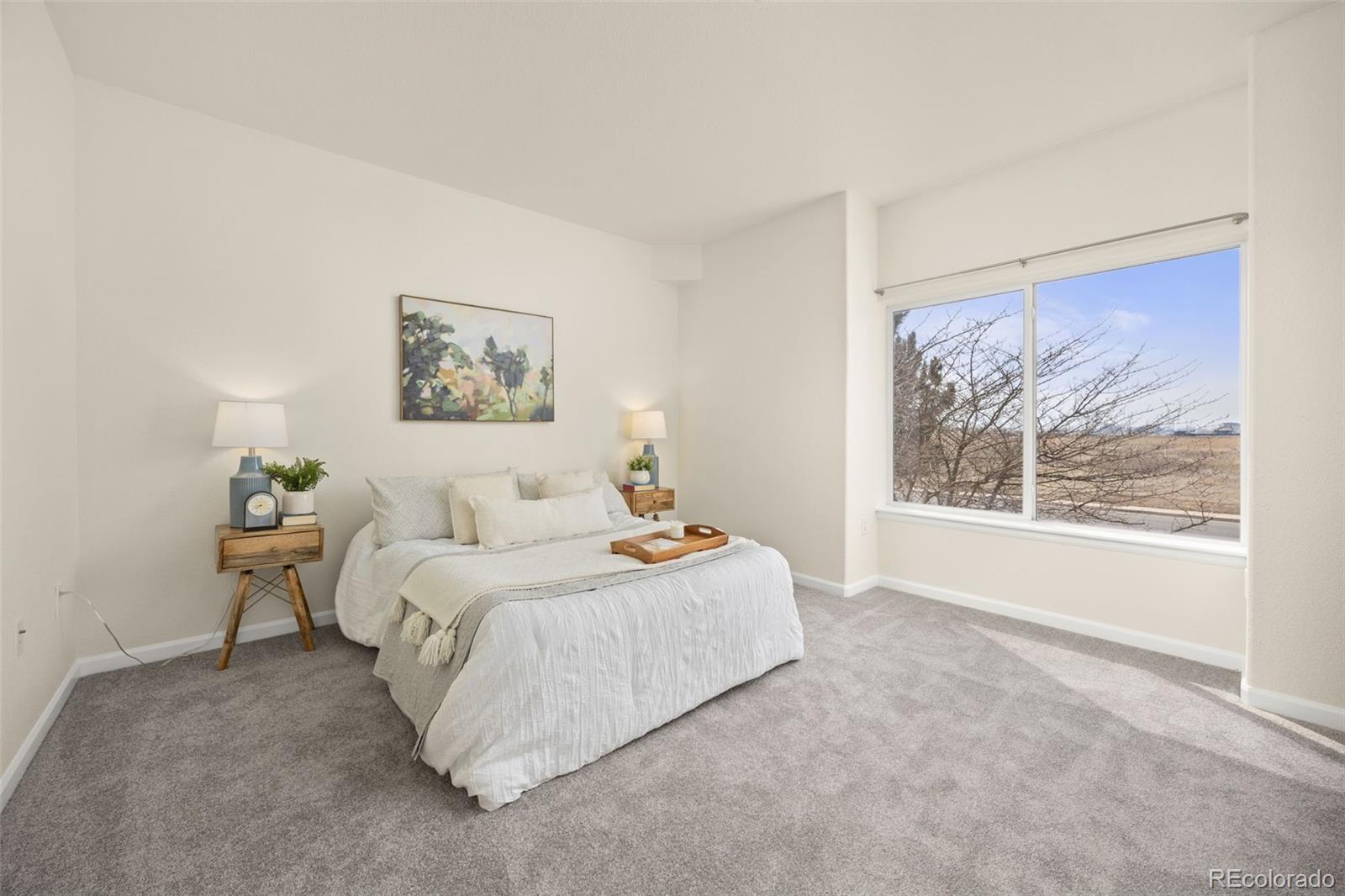 MLS Image #12 for 8690  decatur street 205,westminster, Colorado
