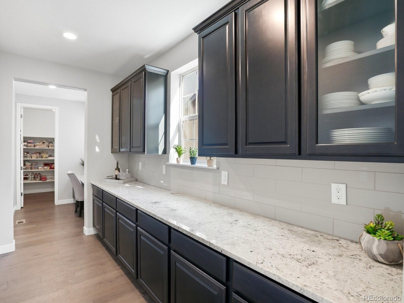 MLS Image #11 for 8275  arapahoe peak street,littleton, Colorado