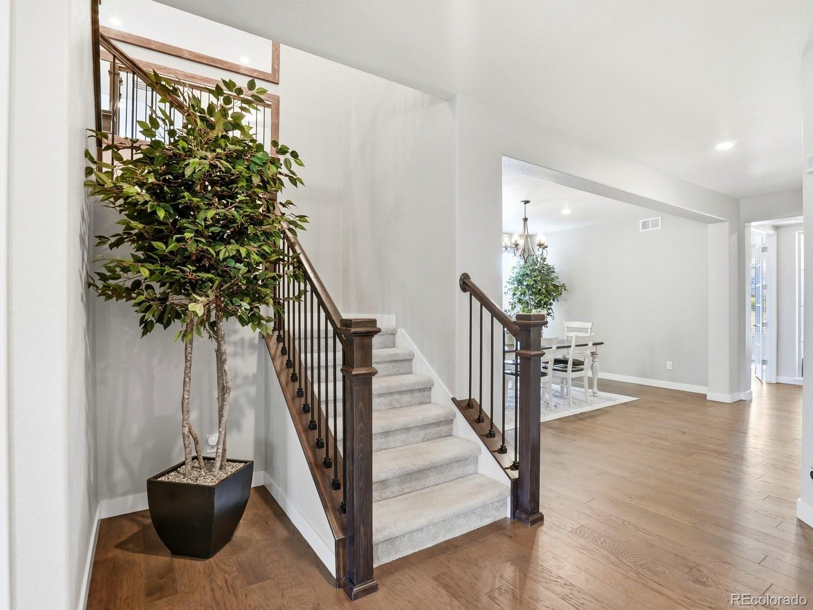 MLS Image #13 for 8275  arapahoe peak street,littleton, Colorado