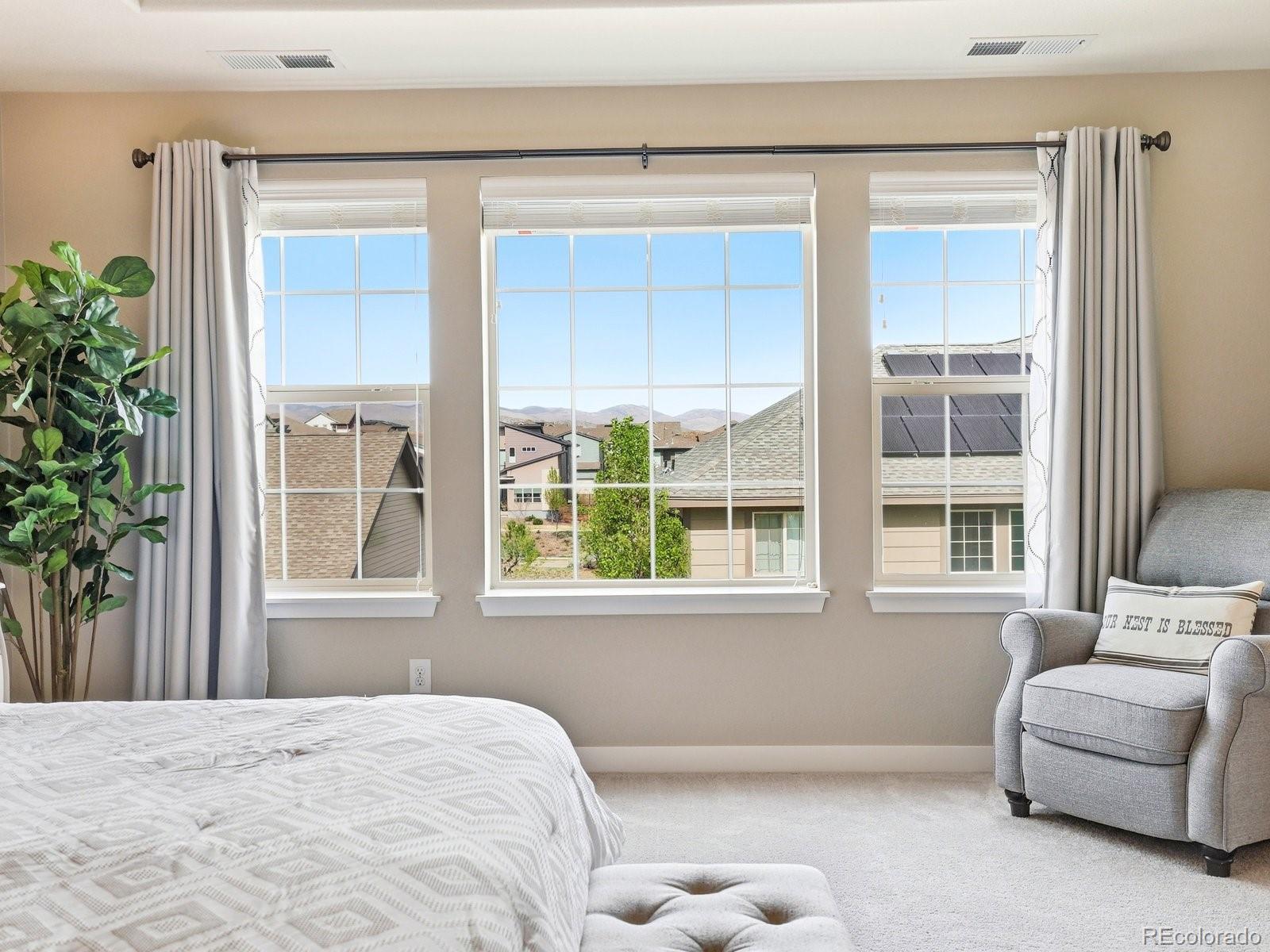 MLS Image #17 for 8275  arapahoe peak street,littleton, Colorado