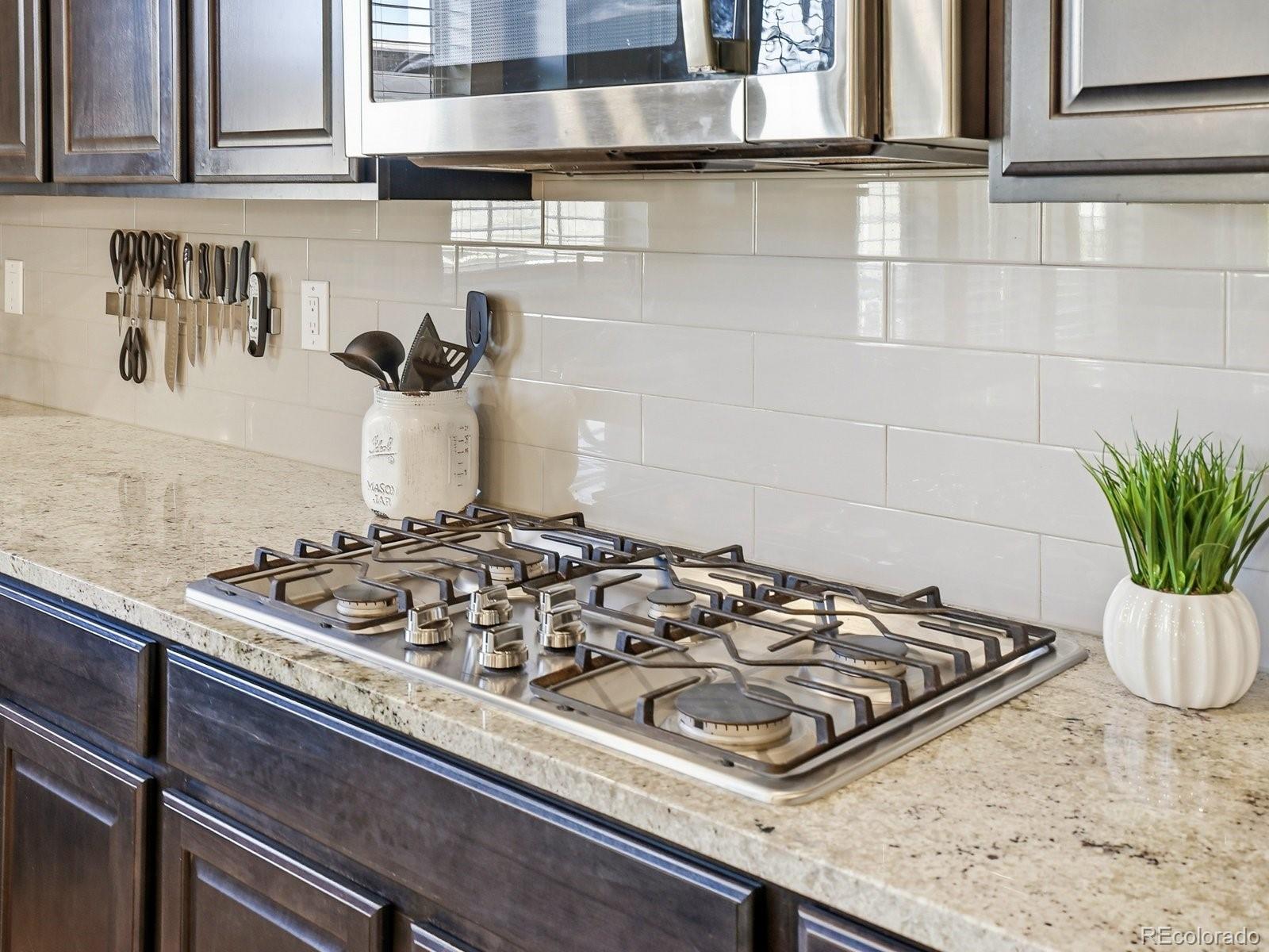 MLS Image #7 for 8275  arapahoe peak street,littleton, Colorado