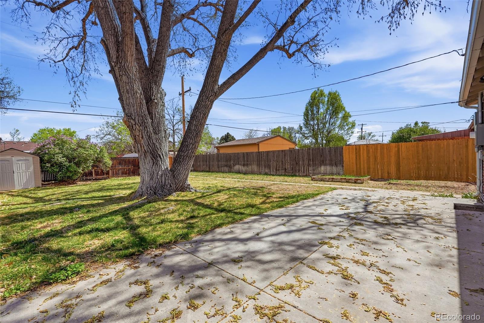 MLS Image #29 for 3564  magnolia street,denver, Colorado