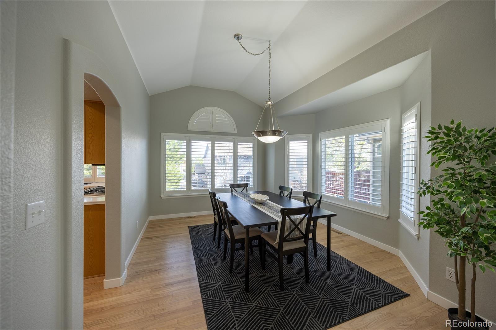 MLS Image #11 for 6539  shannon trail,highlands ranch, Colorado