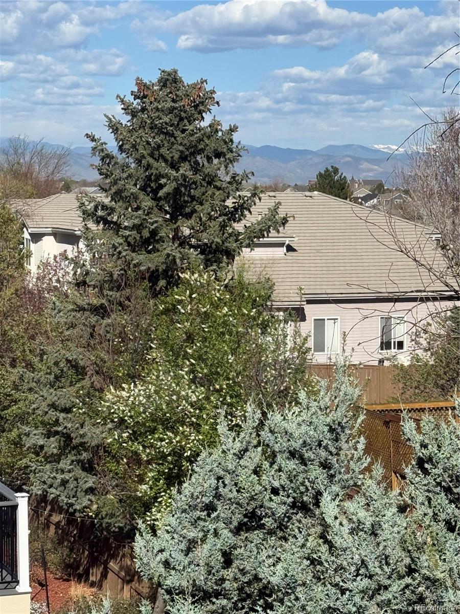 MLS Image #28 for 6539  shannon trail,highlands ranch, Colorado