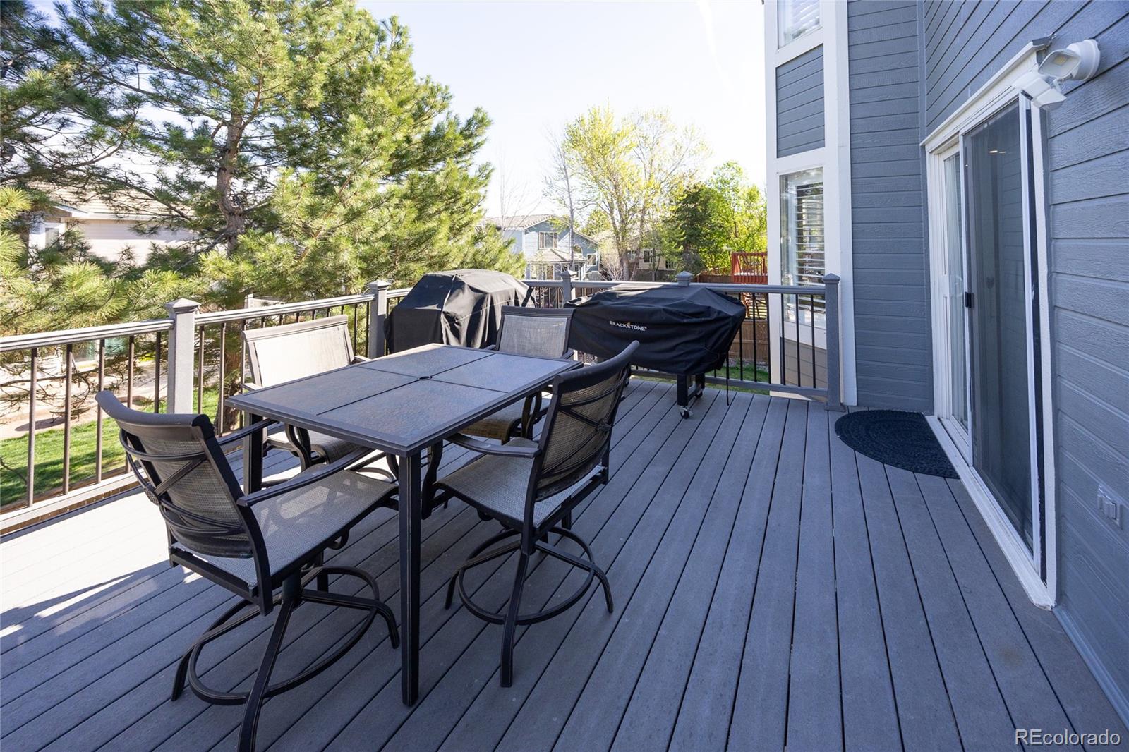 MLS Image #45 for 6539  shannon trail,highlands ranch, Colorado