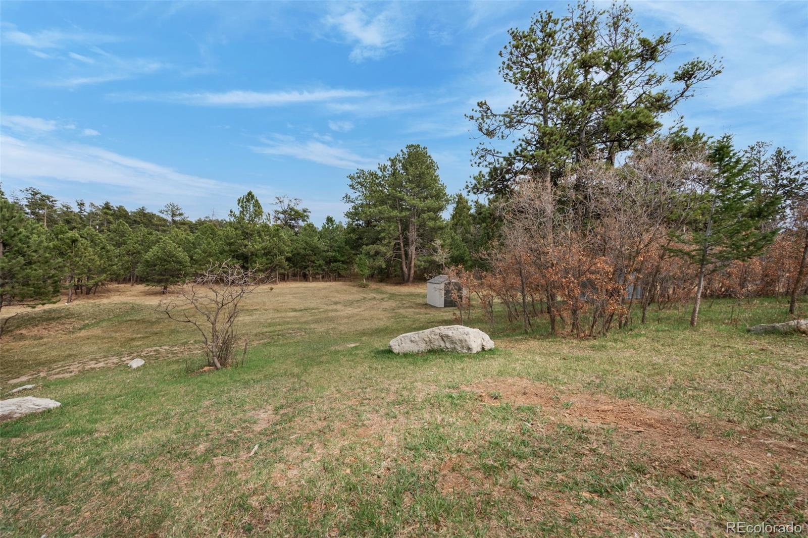 MLS Image #4 for 15632  ray drive,larkspur, Colorado