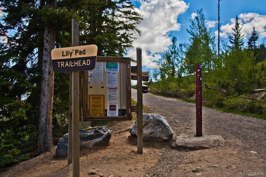 MLS Image #39 for 4200  lodge pole circle,silverthorne, Colorado