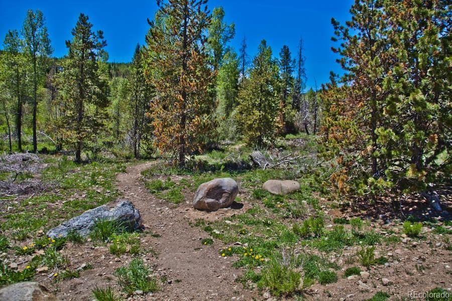 MLS Image #40 for 4200  lodge pole circle,silverthorne, Colorado