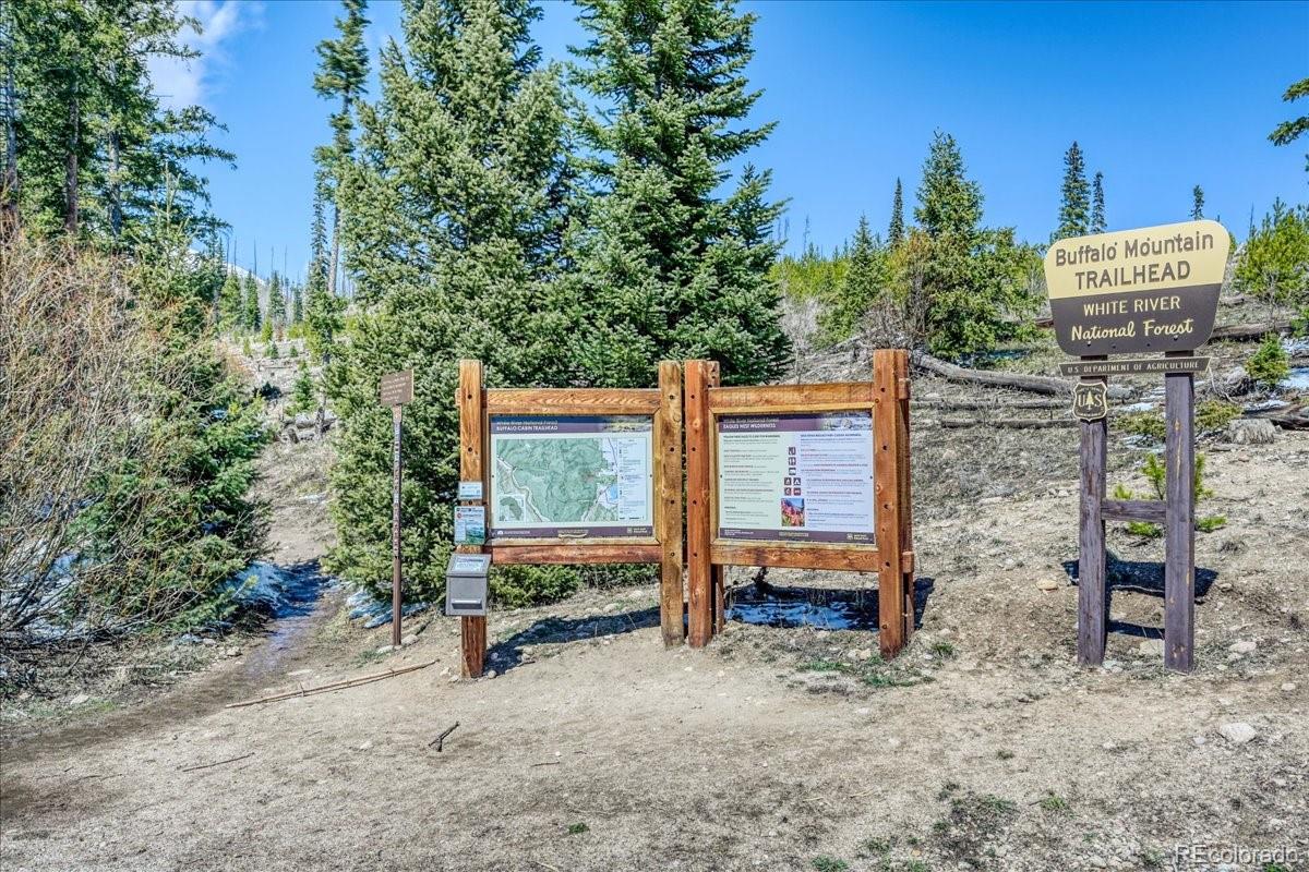 MLS Image #41 for 4200  lodge pole circle,silverthorne, Colorado