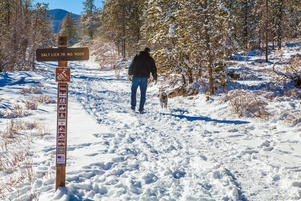 MLS Image #43 for 4200  lodge pole circle,silverthorne, Colorado