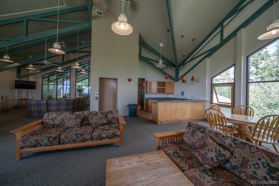 MLS Image #44 for 4200  lodge pole circle,silverthorne, Colorado