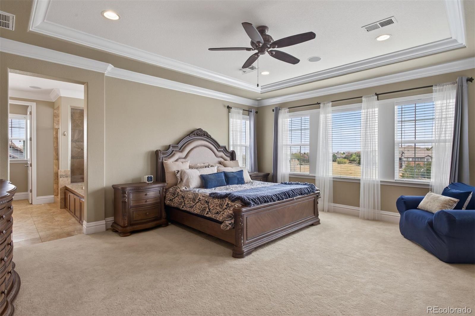 MLS Image #18 for 479  maplehurst drive,highlands ranch, Colorado