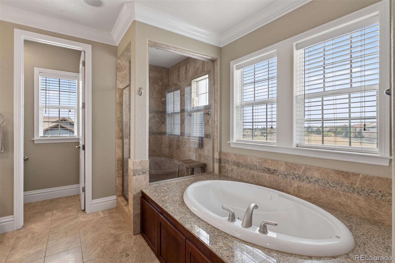 MLS Image #20 for 479  maplehurst drive,highlands ranch, Colorado