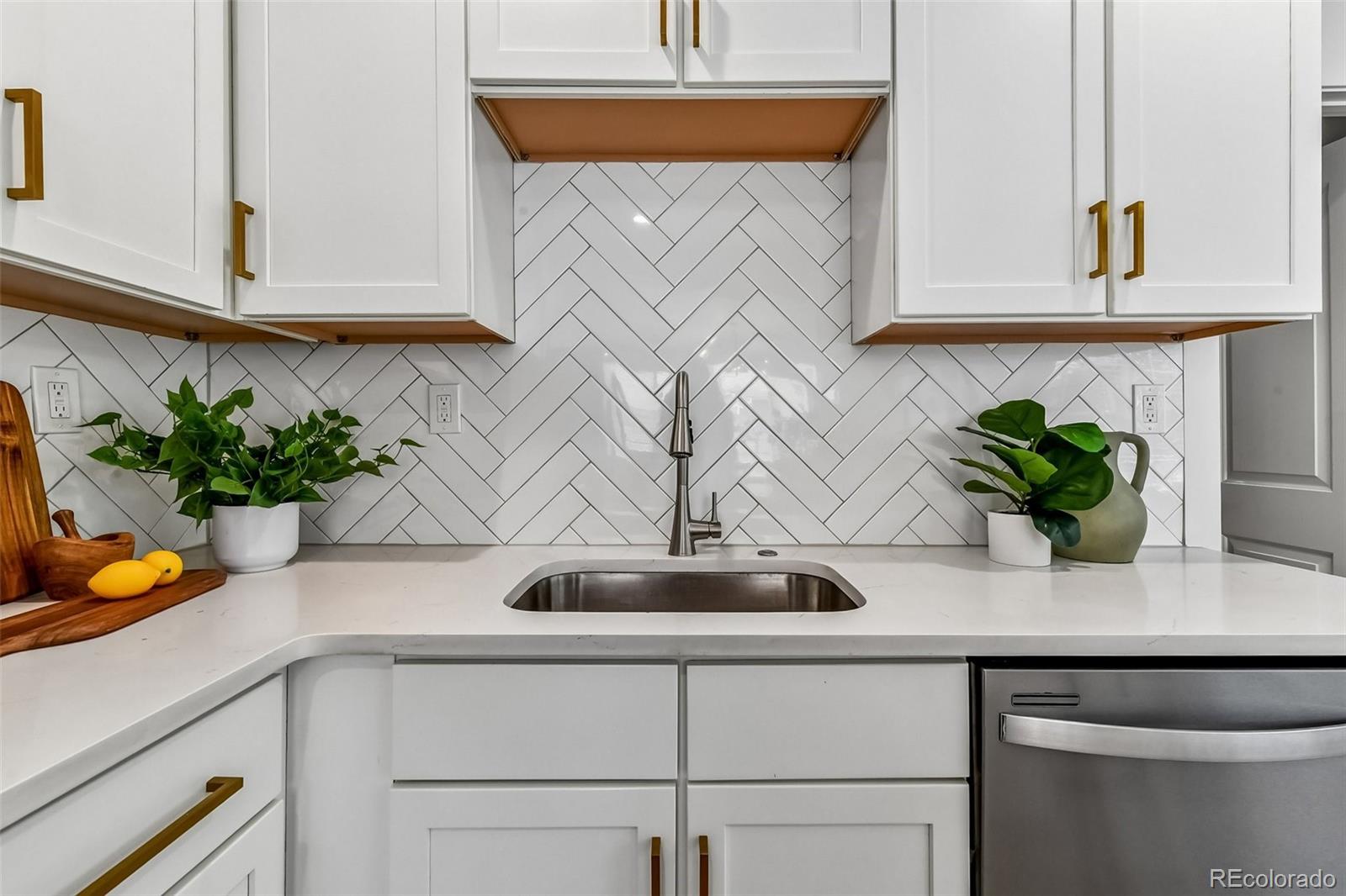 MLS Image #15 for 129  king street,denver, Colorado